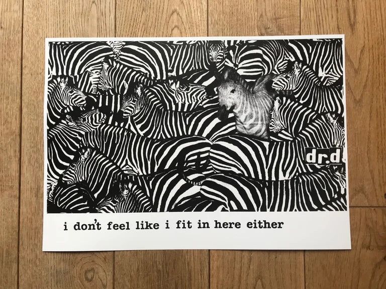 ZEBRAS I DON'T FEEL LIKE I FIT IN HERE EITHER