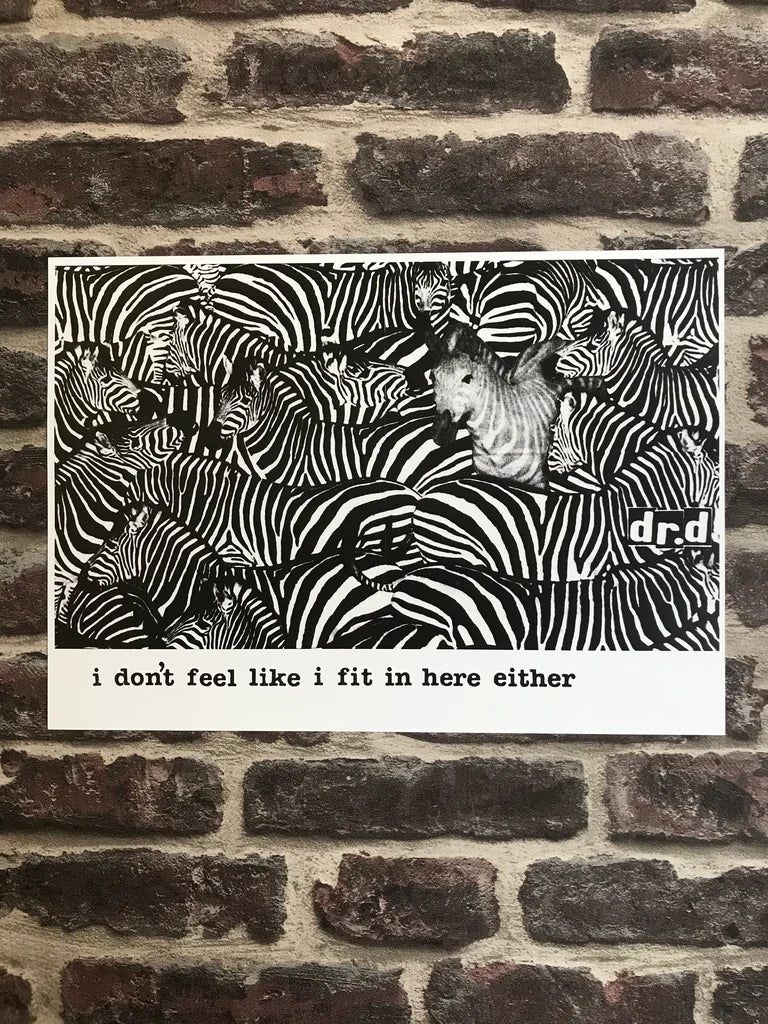 ZEBRAS I DON'T FEEL LIKE I FIT IN HERE EITHER